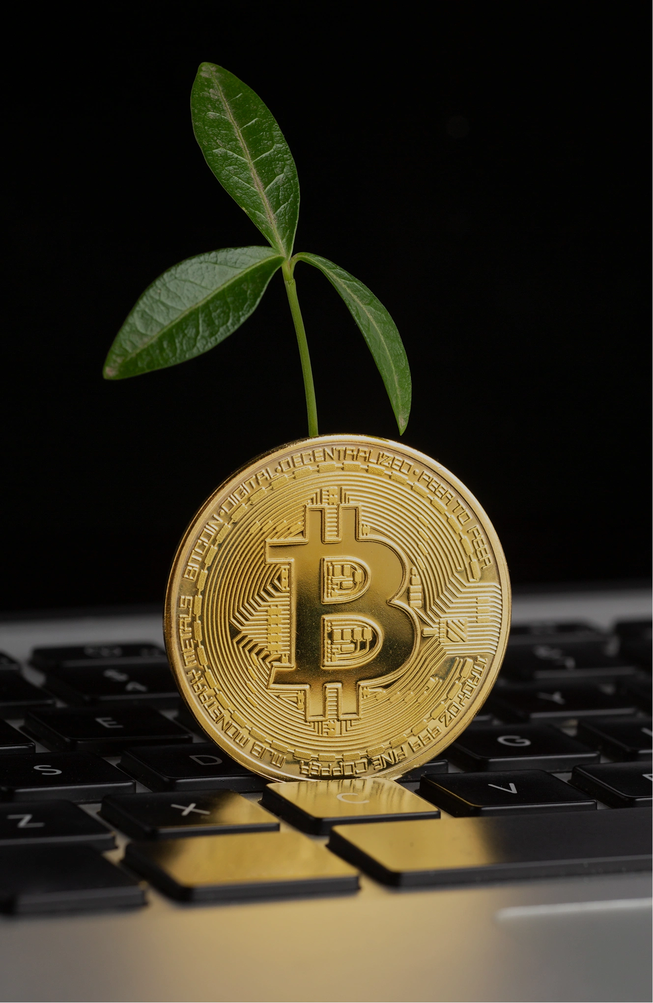 Crypto interest hub